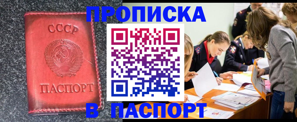прописка для школы в Боровичах